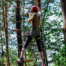 image-client-hellorank-celtaventures